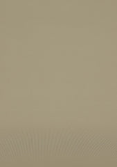 Elite Men Canybo Antistatic Finish Plain Wash & Wear Fabric - Beige