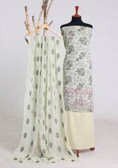Lawn - Rubaaiyat - Chikankari 26 - Chiffon Dupatta - D#34 - Pista