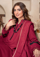 Winter - Bin Rashid - Aaina - Zari Wool 25 - BZW#08