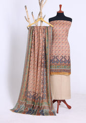 Winter - Riwaj - Printed Pashmina - 3 Pcs Suit - D#02 - Peach