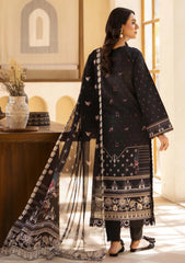 Lawn - Humdum - Zarwisha 25 - HZL#02