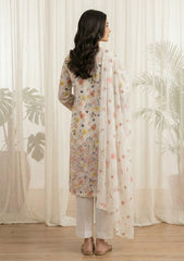 Lawn - Rubaaiyat - Chikankari 26 - Chiffon Dupatta - D#15 - Fawn