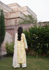 Winter Collection - MM Manara - Vintage Karandi Fall 24 - D#2 - MUSHK