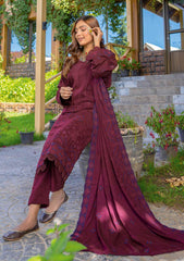 Winter Collection - Bin Rashid - Jahanara - BRJ24#02