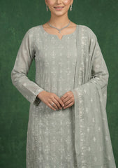 Formals - Riwaj - Fancy Net - 2 Pcs Suit - CND#02 - L Zink