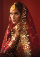 Formals - Afrozeh - Divani - The Silk Edit - AS-25#03 - BAHAAR