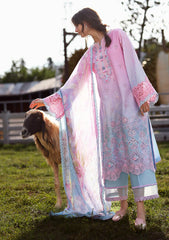 Lawn - Mushq - Solace 26 - Ombre Chikankari - MUNSS#207 - Faint Blossom