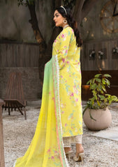 Lawn - Zyra - Summer 26 - D#05 - JADE