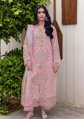 Lawn - Rang Rasiya - Carnation - Luxury Festive Edit 25 - RSC#03 - Irha