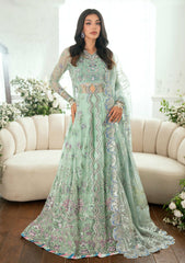 Formals - Mushq - Shaam Shandar - Chiffon 25 - SITAARA