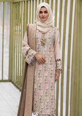 Winter Collection - Riaz Arts - DastKari - D#09