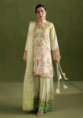 Winter - Rajbari - Silah Premium Silk Edit 26 - Allure