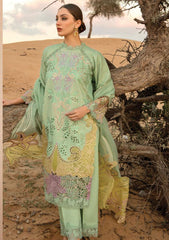 Lawn Collection - Rang Rasiya - Premium - RSP24#08 - Elnaz