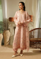 Winter - Humdum - Mushak - Embroidered Karandi - H25#09