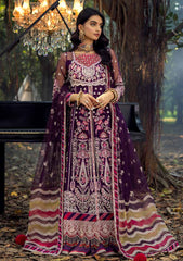 Formal Collection - Adan's Libas - Sang-E-Rah - D#09