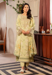 Lawn - Florent - Zync Daily Wear 25 - 04