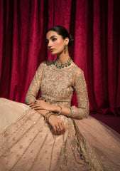 Wedding Formal -Shazme - Roshnai - Inaya - SH#06