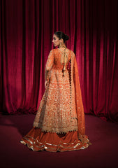 Wedding Formal -Shazme - Roshnai - Alara - SH#08