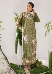 Lawn Collection - Asifa & Nabeel - Aleyna - V02 - OLIVE (ALV-10)