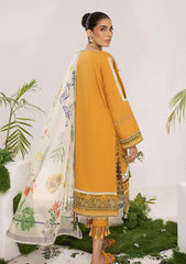 Lawn Collection - Asifa & Nabeel - Aleyna - V02 - LYRA (ALV-12)