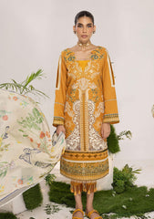 Lawn Collection - Asifa & Nabeel - Aleyna - V02 - LYRA (ALV-12)