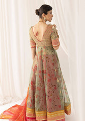 Formal Collection - Asifa & Nabeel - Barasti - Festive - ANB#1 - Rangoli