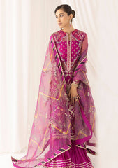 Formal Collection - Asifa & Nabeel - Barasti - Festive - ANB#2 - Raqs