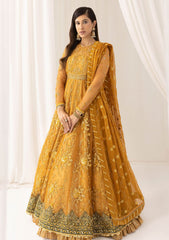 Formal Collection - Asifa & Nabeel - Barasti - Festive - ANB#3 - Chashni