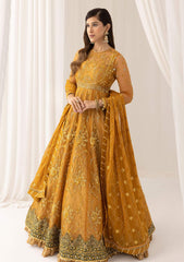 Formal Collection - Asifa & Nabeel - Barasti - Festive - ANB#3 - Chashni