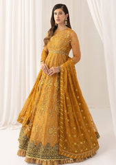 Formal Collection - Asifa & Nabeel - Barasti - Festive - ANB#3 - Chashni