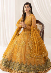 Formal Collection - Asifa & Nabeel - Barasti - Festive - ANB#3 - Chashni