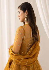 Formal Collection - Asifa & Nabeel - Barasti - Festive - ANB#3 - Chashni