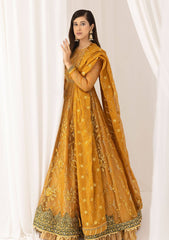 Formal Collection - Asifa & Nabeel - Barasti - Festive - ANB#3 - Chashni