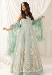 Formal Collection - Asifa & Nabeel - Barasti - Festive - ANB#5 - Chandni