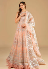 Formal Collection - Asifa & Nabeel - Barasti - Festive - ANB#6 - Shahnai