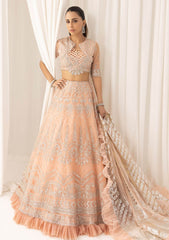 Formal Collection - Asifa & Nabeel - Barasti - Festive - ANB#6 - Shahnai