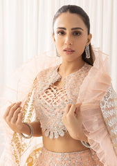 Formal Collection - Asifa & Nabeel - Barasti - Festive - ANB#6 - Shahnai