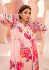 Winter Collection - Aalaya - Mahjbeen - Viscose - Vol 2 - D#2