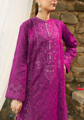 Lawn Collection - Aik Atelier - Pardes - PAL24#04