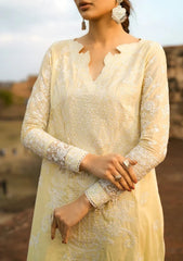 Lawn Collection - Aik Atelier - Pardes - PAL24#06