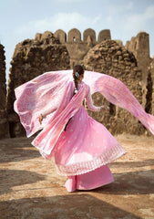 Lawn Collection - Aik Atelier - Pardes - PAL24#09