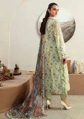 Lawn Collection - Alif - Affordable - AFL#8 - MINT MAGIC