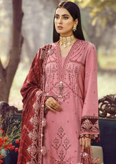 Winter Collection - Anaya - Ankara - AEL#01 (Amal)