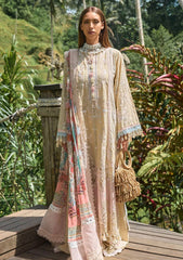 Lawn Collection - Ansab Jahangir - Zoha - Luxury 24 - AJ24#03 - ADENIUM