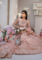 Formal Collection - Rubaaiyat - Handwork Wedding 23 - Bella - D#02