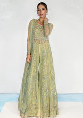Formal Collection - Rang Rasiya - Chatoyer - Wedding - D#08 - CATALINA