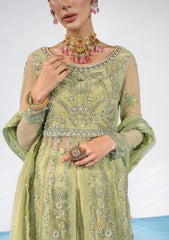 Formal Collection - Rang Rasiya - Chatoyer - Wedding - D#08 - CATALINA