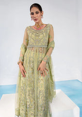 Formal Collection - Rang Rasiya - Chatoyer - Wedding - D#08 - CATALINA