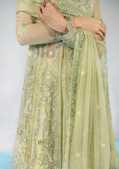 Formal Collection - Rang Rasiya - Chatoyer - Wedding - D#08 - CATALINA