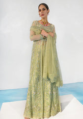 Formal Collection - Rang Rasiya - Chatoyer - Wedding - D#08 - CATALINA